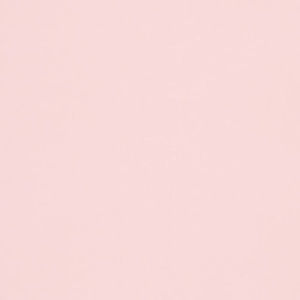 Meet your Posher, Ella